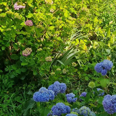 Vue Sur Jardin * لورد